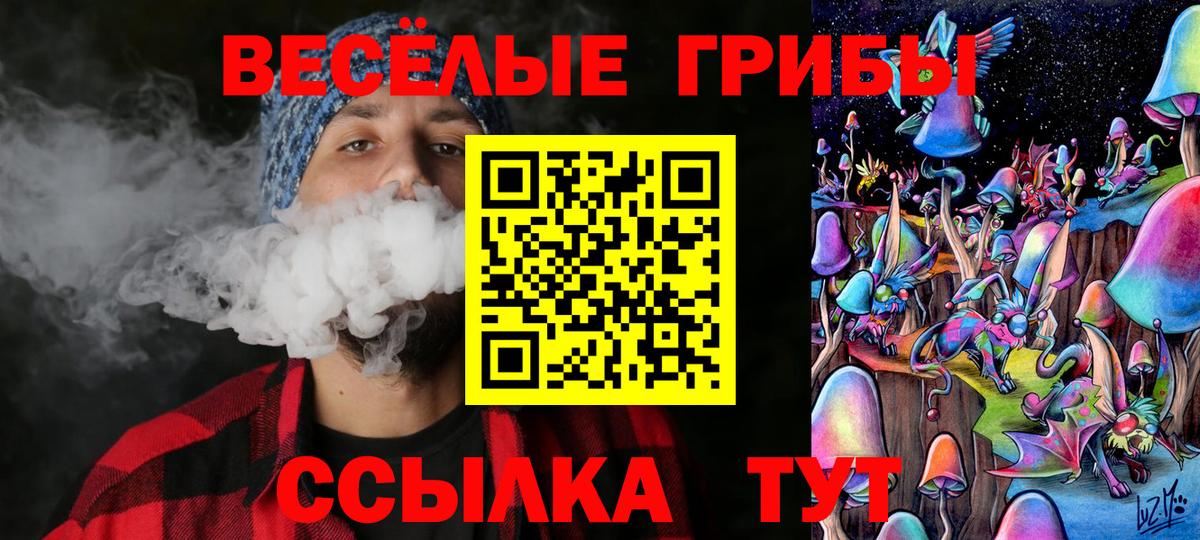 Галлюциногенные грибы прущие грибы Выборг